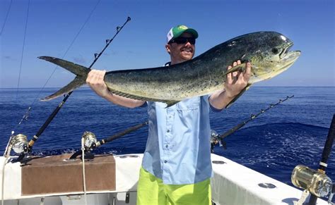 fishing on dauphin island alabama.